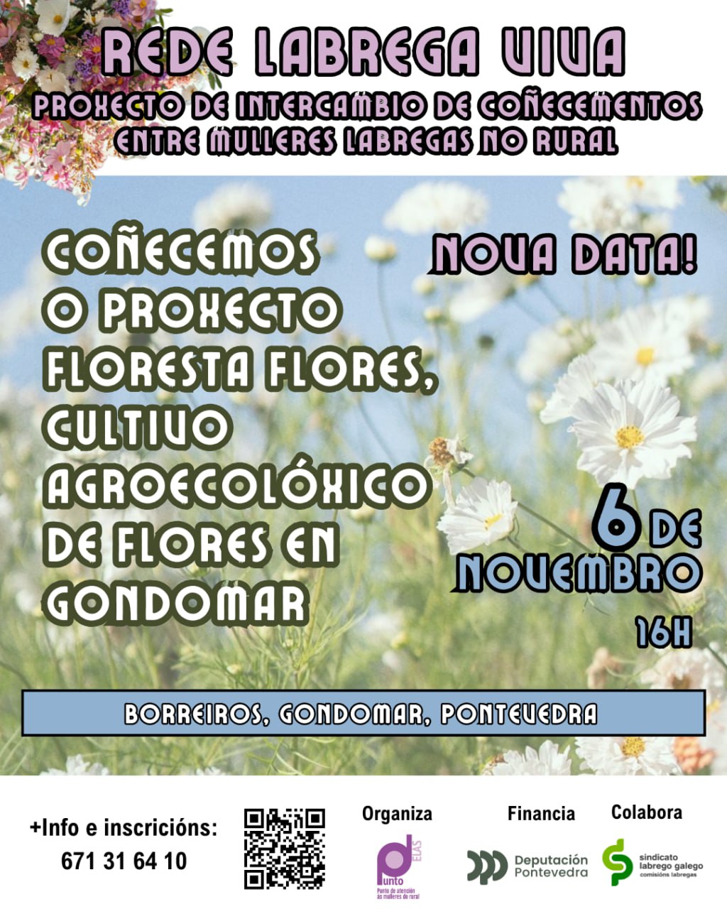 Coñecemos o proxecto Floresta Flores, cultivo agroecolóxico de flores en Gondomar