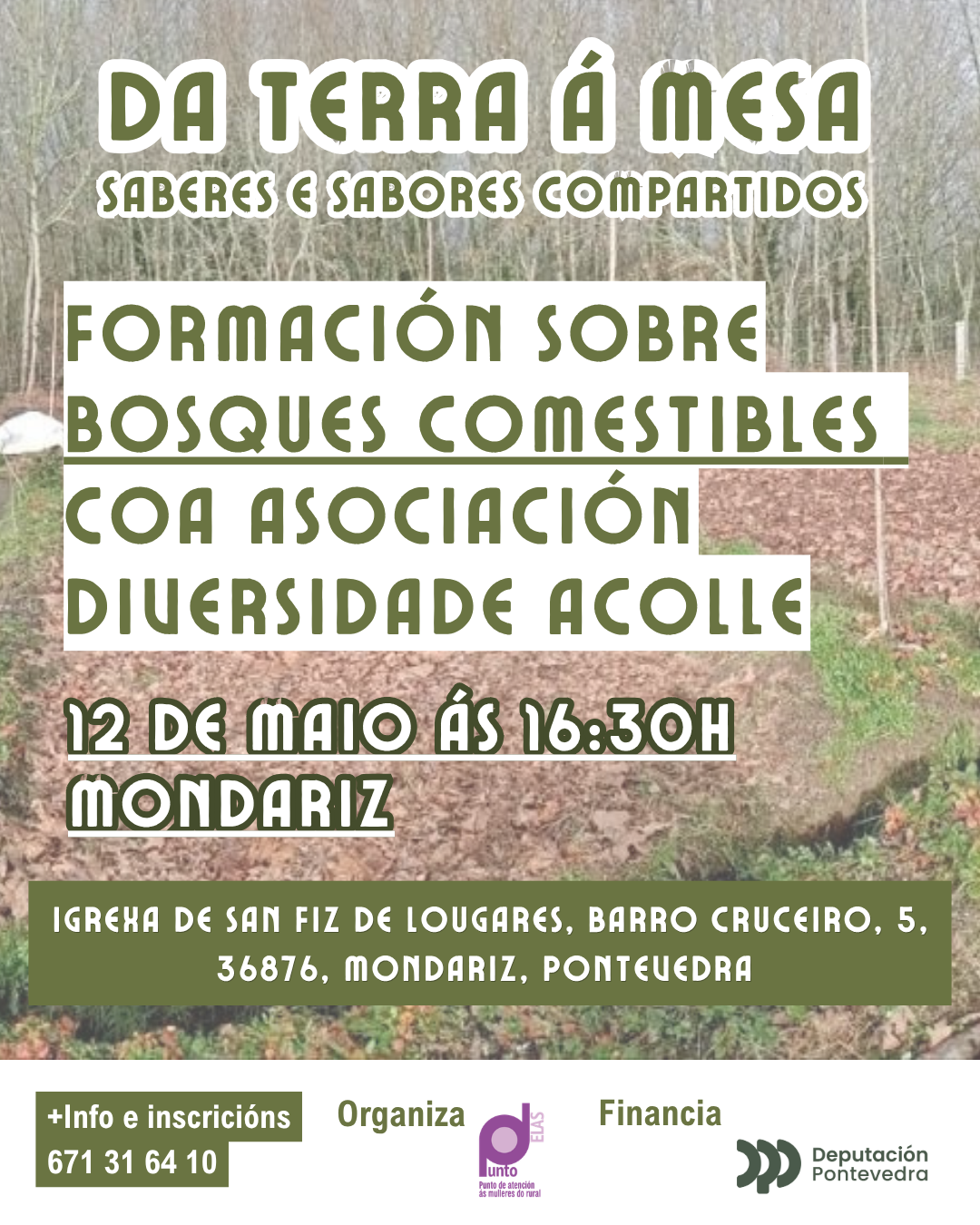 Formación de Bosques Comestibles en Mondariz